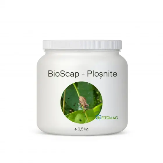 Biopreparat BioScap Plosnite De Pat, 500 g, Fitomag, Pulbere, Contact, Dormitor, Saltea Ofertă