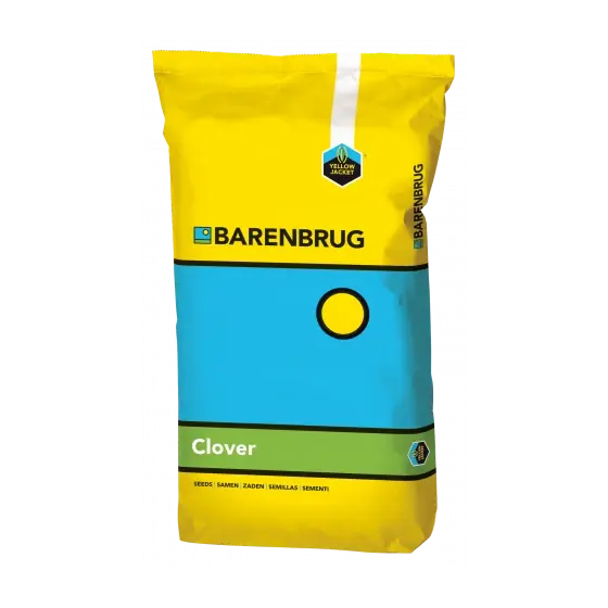 Ultima șansă Seminte gazon Barenbrug Turf Clover, Trifoi alb pitic, 10 kg