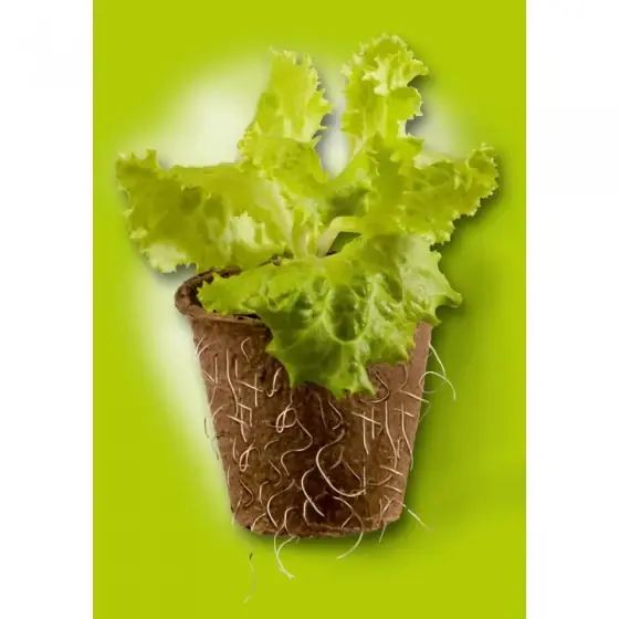 Pahare rotunde din turba, Ø8 x h 8 cm, set 12 buc Expediere rapidă