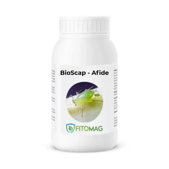 Biopreparat BioScap - protectie impotriva afidelor, 1 kg Preț redus
