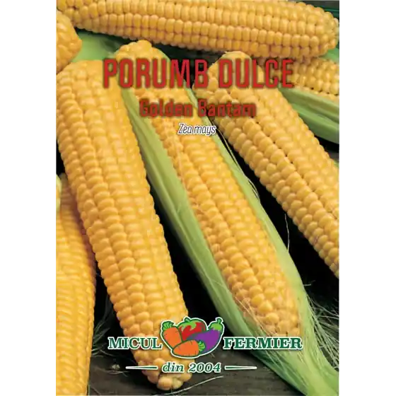Cumpără acum Seminte de porumb dulce Golden Bantam, 10 grame, SemPlus
