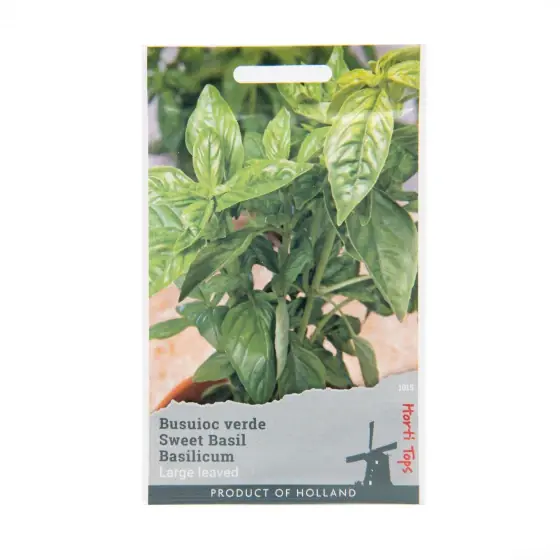 Seminte de busuioc verde, 1 gram, Horti Tops Promoție