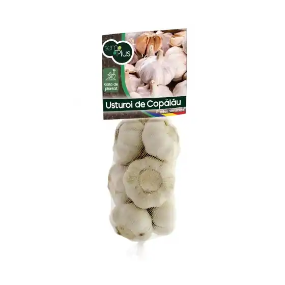 Preț redus Usturoi de toamna, rosu, romanesc de Copalau pentru plantat si consum, 1 Kg, SemPlus