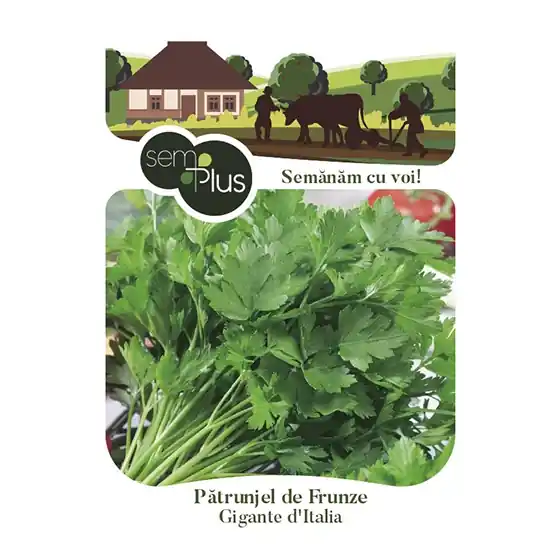 Seminte de patrunjel Gigante d Italia, 2 grame, SemPlus Ofertă exclusivă