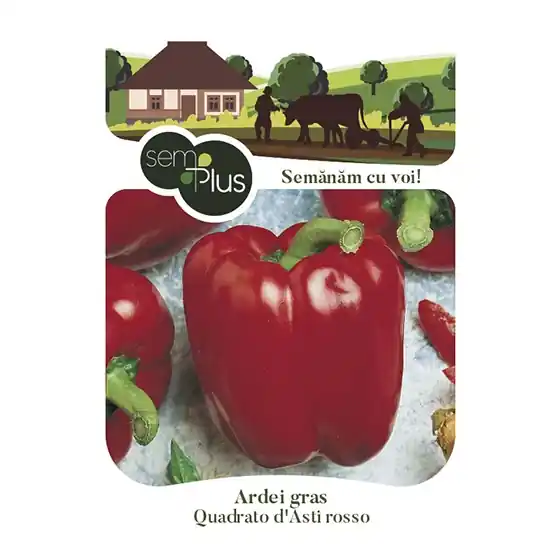 Seminte de ardei gras Quadrato d Asti Rosso, 0,5 grame, SemPlus Comandă acum