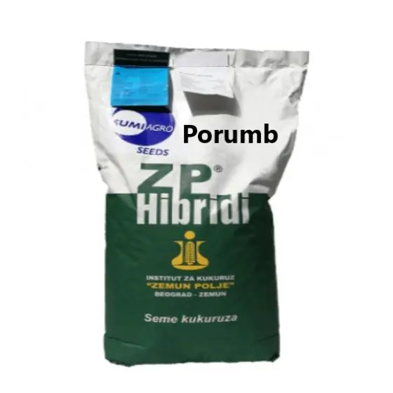 Seminte Porumb ZP 305 FAO 300, sac 25 000 Reduceri