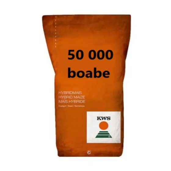 Livrare rapidă Seminte Porumb KWS 2370 FAO 290, sac 50 000