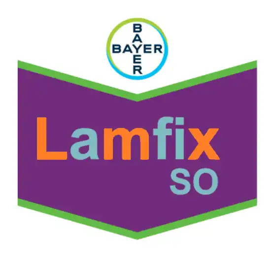 Adeziv Rapita Lamfix SO, 5 l Chilipir