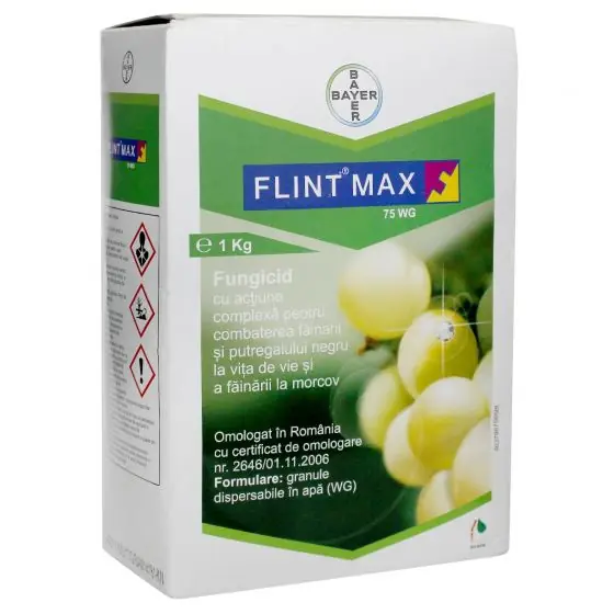 Promoție Fungicid Flint Max 75 WG, 1 kilogram