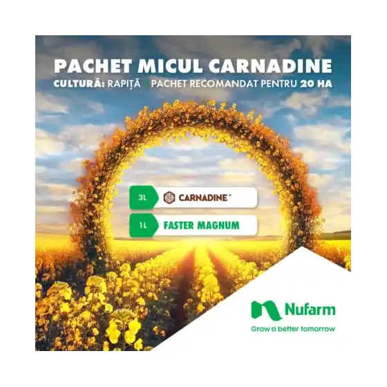 Discount Pachet MICUL CARNADINE, 20 Ha