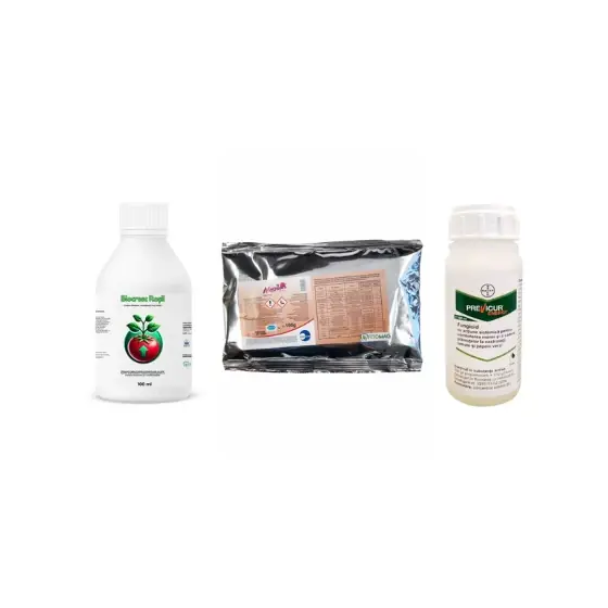 Bestseller Pachet tratament si nutritie tomate/rosii Stimulator de legare Biocresc Rosii, 100 ml + Fungicid Previcur Energy, 100 ml + Insecticid Mospilan 20 SG, 100 grame