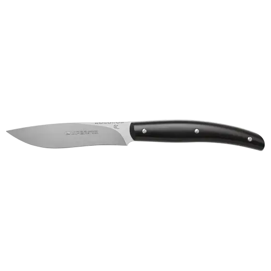 Ofertă Cutit de friptura Costata ZI/02 - Lama 110mm, Lemn Zircote