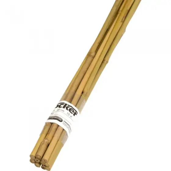 Tutore din bambus, Ø6-8 mm, 60 cm, set 10 buc Preț mic