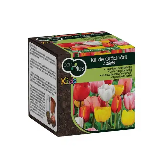 Kit pentru gradinarit dedicat copiilor, SemPlus Kids Lalele Cel mai vândut