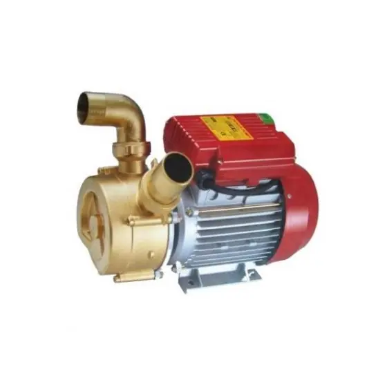 Disponibil imediat Pompa electrica BEM 50 pentru transvazare vin, 15 000 l/h