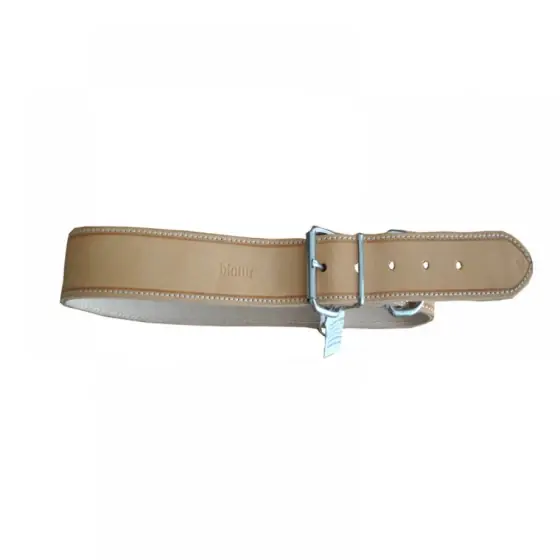 Zgarda Pentru Caini Heavy Natur Ps 3 0/60 Cm Expediere rapidă