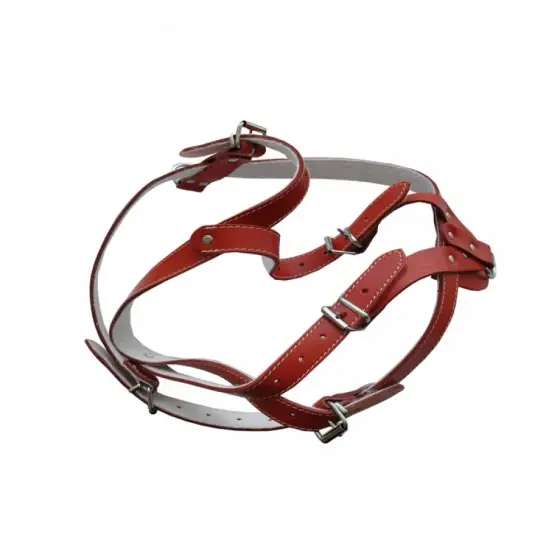 Ham Piele Pentru Caini Cu Ornament Nr.1 Rosu 40-47Cm/16Mm Preț redus