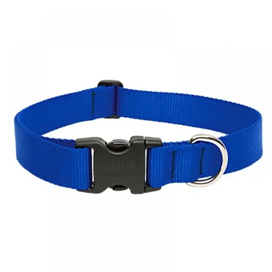 Cel mai vândut Zgarda Nylon Pentru Caini Blue Click 10Mm*20-35Cm