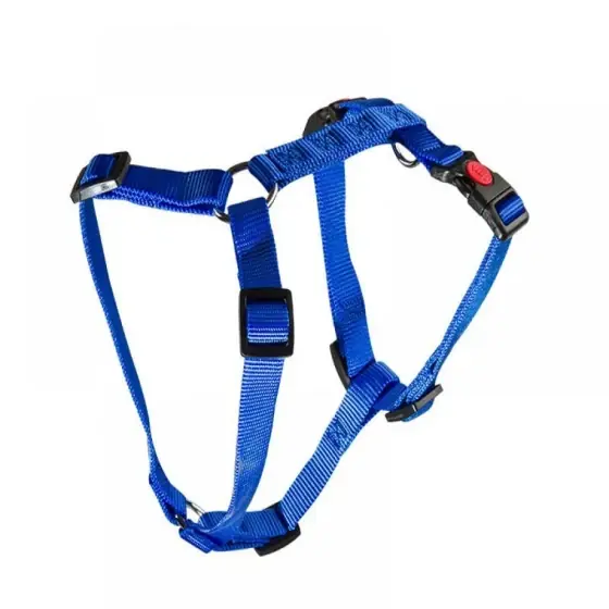 Ham Pentru Caini 3X Ajustabil Nylon Blue Click 15 Mm*30-50 Cm Livrare rapidă