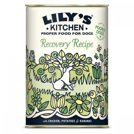 Expediere rapidă Lily's Kitchen for Dogs Recovery Recipe, Chicken, Potatoes & Bananas 400 g