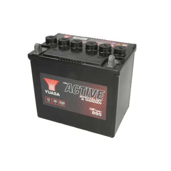 Acumulator Pornire YUASA 12V 895 YUASA Noutate