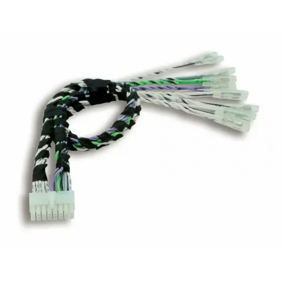 Mai ieftin Cablu plug&play AP SPK OUT 8.9 - 8CH OUTS CIRC. TERMINALS FEMALE