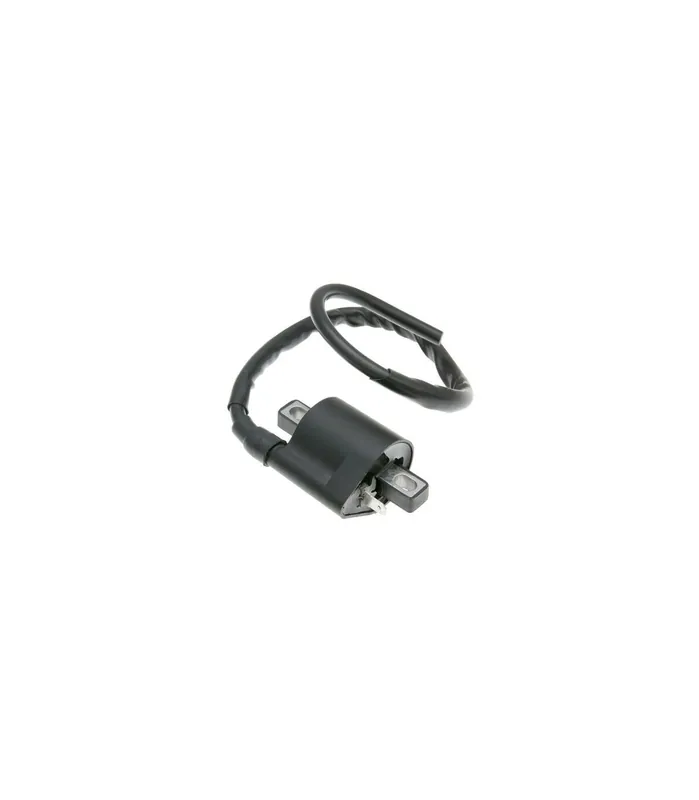 Discount Bobine de aprindere