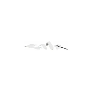 Cumpărături sigure Kit caroserie complet Rmz250 10-18 alb