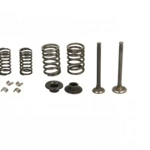 Set reparatie supape moped 80CC-4T (chiulasa Ø47mm) Chilipir