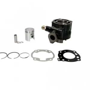 Plată sigură Set motor Aprilia SR50/Suzuki Katana LC-2T 50cc, 41mm WST