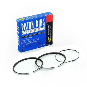 Disponibil imediat Set segmenti Honda Dio/Bali/Sky/SH-2T 50cc,39.5mm WST