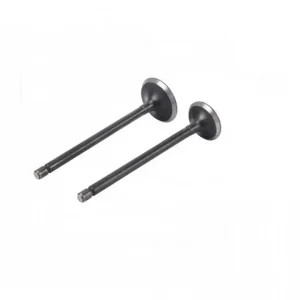 Reducere Set supape Honda NXR 125cc WST
