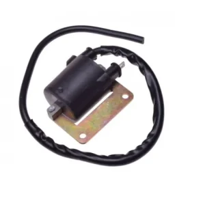 Bobina inductie Piaggio/Gilera/Typhoon Reducere