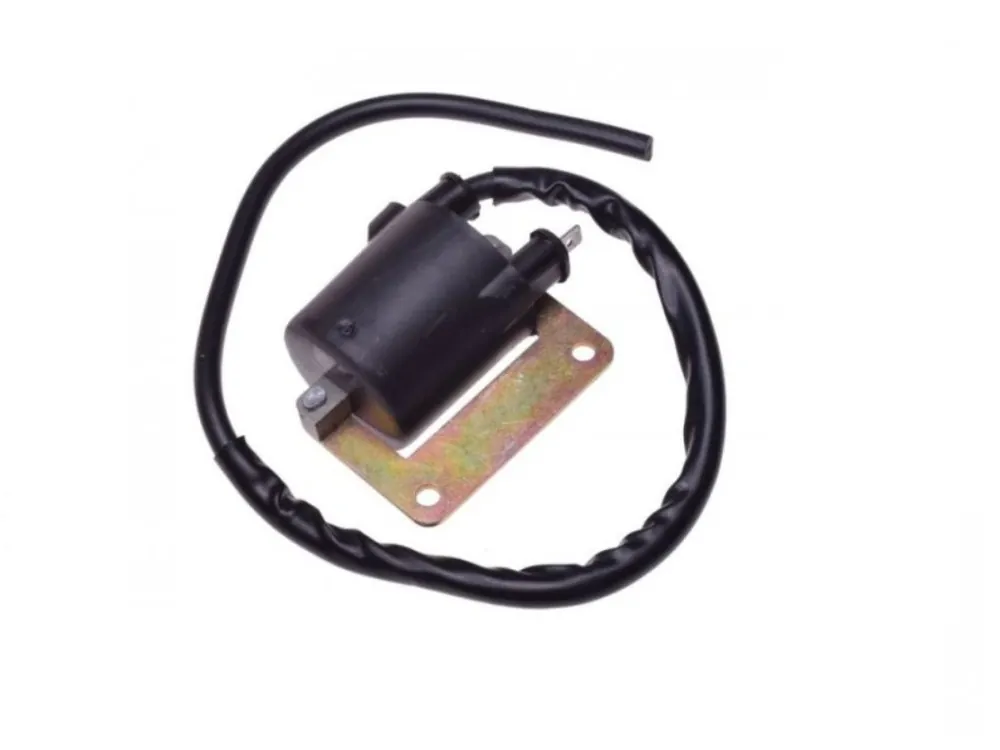 Bobina inductie Piaggio/Gilera/Typhoon Reducere