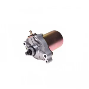 Doar azi Electromotor Piaggio, 9 dinti