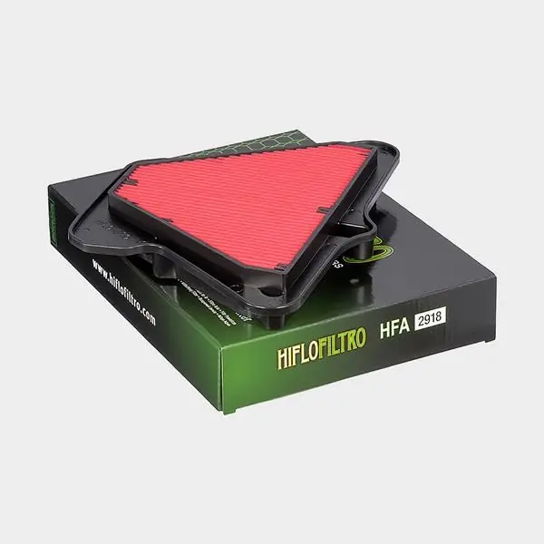 Cumpără online Element filtrant HFA2918, Hiflo Filtro